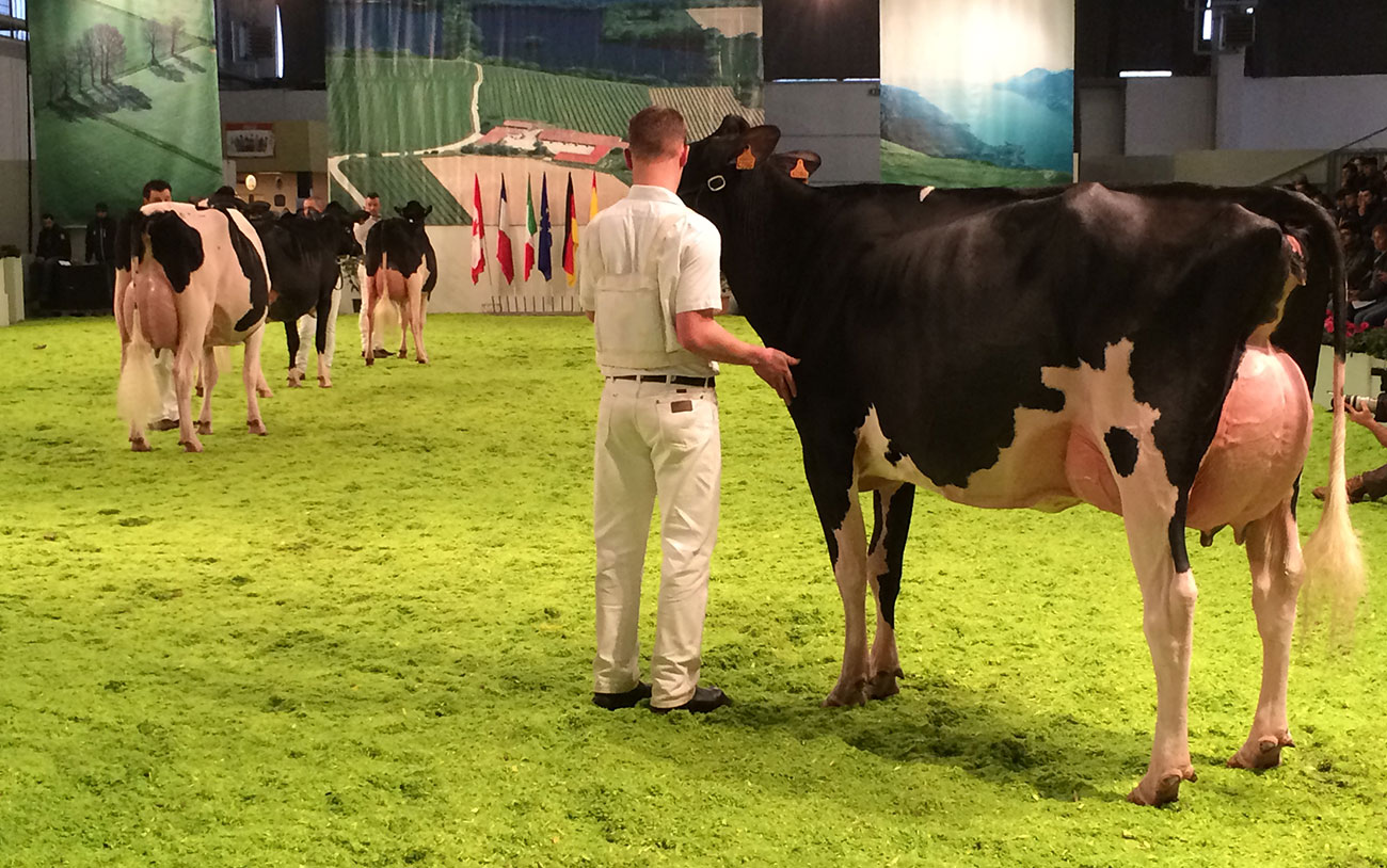 Dairy Show 2019