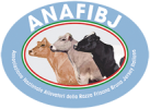 logo_ANAFIBJ_205x150