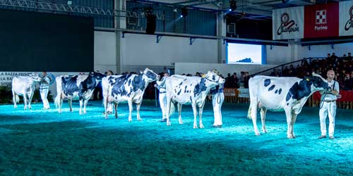 FAZI2025_Anafibj_03 FAZI2025_Anafibj_03