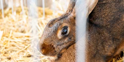 FAZI2025_Anci_02 FAZI2025_Anci_02