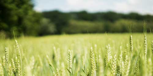 FAZI2025_eventi_Confcooperative2 FAZI2025_eventi_Confcooperative2