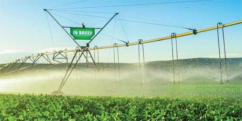 FAZI2025_eventi_GreenPool FAZI2025_eventi_GreenPool