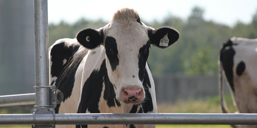 FAZI2025_eventi_Spallanzani FAZI2025_eventi_Spallanzani