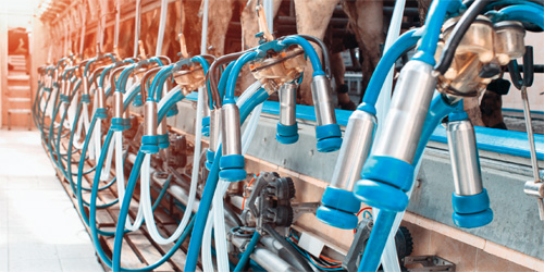 eventi_ANAFIBJ_genetica-mungitura eventi_ANAFIBJ_genetica-mungitura