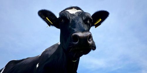 eventi_CDF eventi_CDF