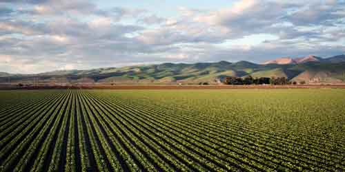 eventi_UPA eventi_UPA