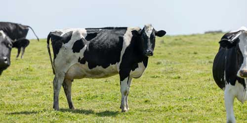 lREAS2025_eventi_AIA lREAS2025_eventi_AIA